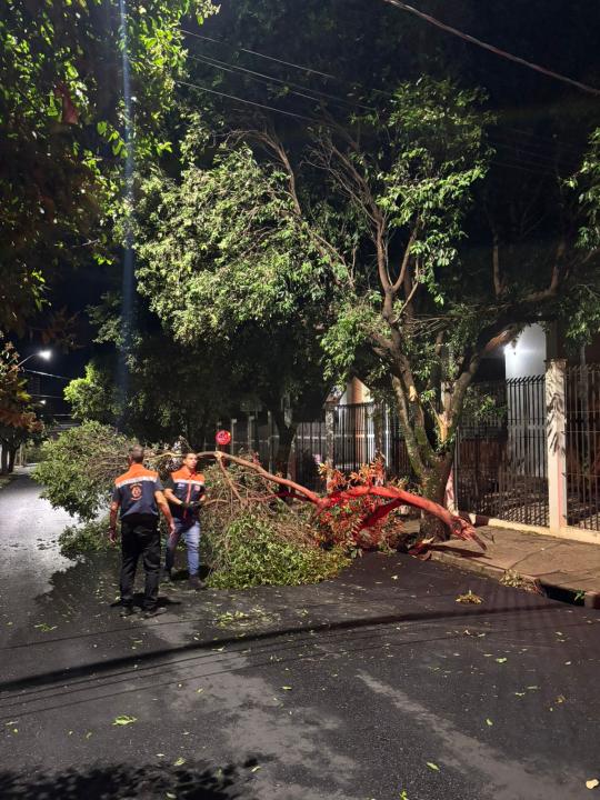 Foto 21 de 27 — Temporal volta a atingir Araraquara e provoca estragos em vários bairros; veja as fotos